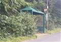 Passengers ‘missed’ due to overgrown bushes at bus stop