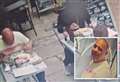 Dine-and-dash caught on camera leaves cafe boss ‘heartbroken’