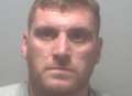 Tree surgeon jailed for growing cannabis