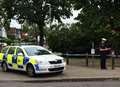 Probe after 'sex attack' on young woman in park