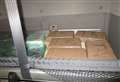 Cocaine worth £3.7m found under bunk bed