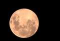 Pink supermoon to light up the night sky