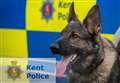 Police dog finds suspected thief on petrol station roof