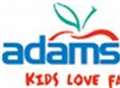 Adams children's stores to close in Kent