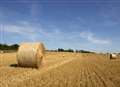 Farming profits fall across Kent