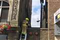 Gull trapped in netting in Cardiff city centre rescued by firefighters