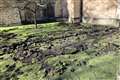 Extinction Rebellion protesters fined for digging up Trinity College lawn