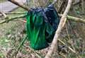 'Hardcore' of dog walkers leave 140 poo bags on mile-long route