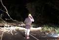Driver sent airborne by fallen tree