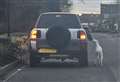 Shocking footage shows dogs being ‘dragged’ by the side of car