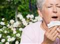 Kent is UK hay fever capital