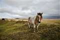 Emergency powers used to stop wild camping in part of Dartmoor