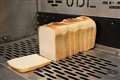 Bread mould avoids infection by mutating its own DNA – study