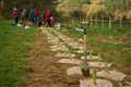 Planting of 100,000 trees will help bolster temperate rainforest in Devon