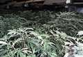 Holy smoke! Police find cannabis farm in church