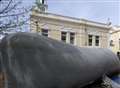 Sperm whale helps town to rock