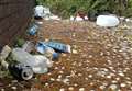 Council takes litterbugs to court