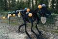 Town’s dinosaur joins in football’s FA Cup celebrations