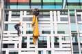 Activists scale Defra building in call for meat and dairy farm subsidies to end