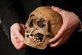 Genetic and fossil records will not reveal single point for modern human origins