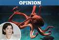 ‘Could the octopus take over the planet when we die?’