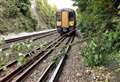 Tree branch halts trains