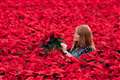 Poinsettias blooming at one of UK’s largest growers thanks to biomass heating