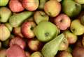 Filling supermarkets with Kent apples and pears