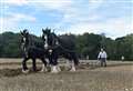 Popular farming and countryside show expected to attract thousands