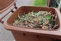 Garden waste collections suspended amid staffing crisis