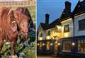 How did I goat here? Billy found roaming in village becomes pub’s mascot