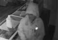Vape shop owner shares CCTV of intruder