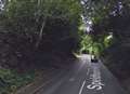 Delays after lorry hits tree