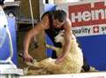 Sheepshearing record set