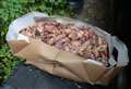 Putrid food dumped near school