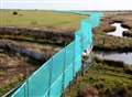 Green fence erected for bird safety