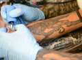 Tattoo parlours asked to take part in rating scheme