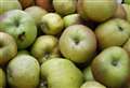 Apples are fayre game this weekend