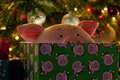 M&S casts Tom Holland as Percy Pig for bumper Christmas campaign