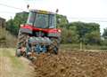 Medway farmers struggle to keep crops alive in soaring summer temperatures 