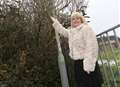 New streetlights are just brilliant, says campaigner 