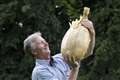 Record-breaking 9kg onion displayed at Harrogate Flower Show