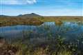 Remote peatland granted world heritage status