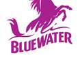 Top Kent firms given chance to sell at Bluewater