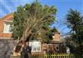 Council sorry after 35ft tree falls onto house