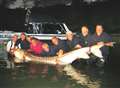 Kent fishermen hook monster 1,000lb sturgeon