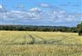 The Weald of Kent constituency and the candidates standing