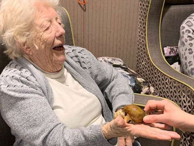 A giant African land snail sitting on the palm of Mary Burr