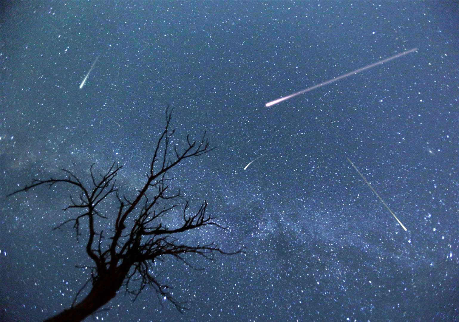 2024 meteor showers, supermoons and other things to see in the sky in