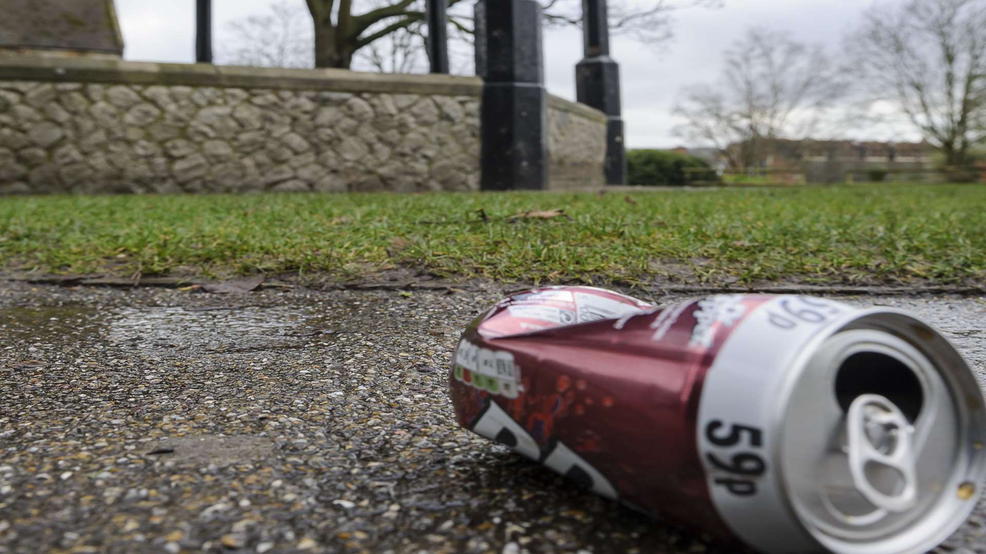 Litter in Brenchley Gardens